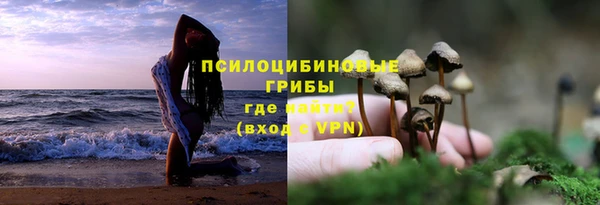 круглые Аркадак