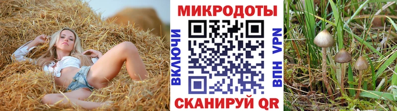 Галлюциногенные грибы мухоморы  хочу наркоту  Боготол 